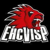 Le HC Viège s'est incliné 2-4 vendredi soir face à Langenthal.